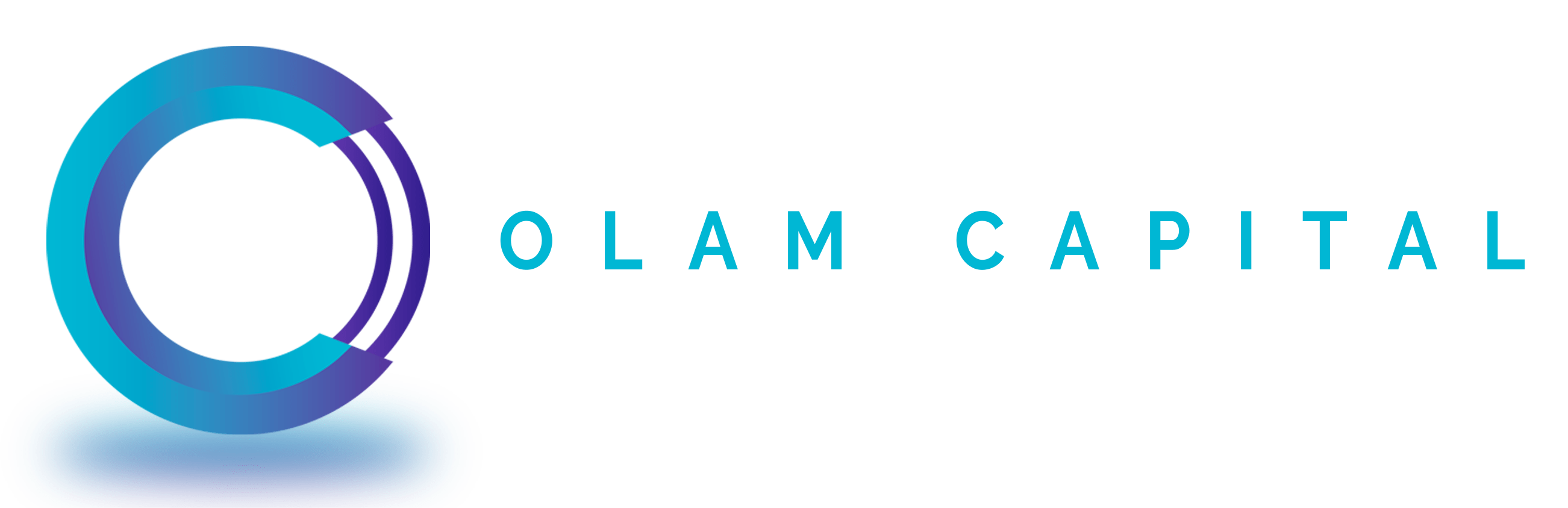 Olam Capital-Immobilier